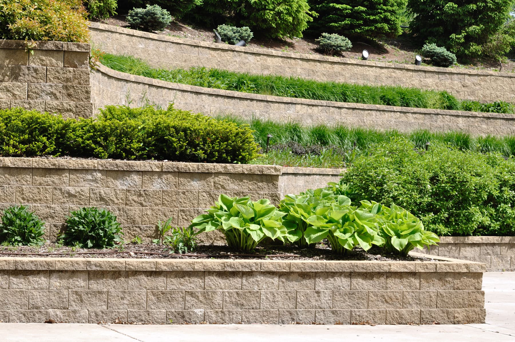 Tiered sandstone block retaining wall with garden planting beds (representative photo for Maple Ridge)